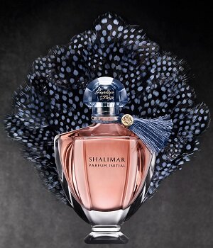 Guerlain (Герлен) – парфюмерный бренд из Франции. Где купить в России, адреса магазинов