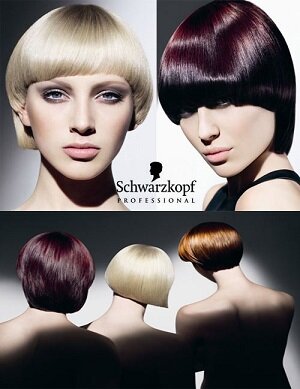 Schwarzkopf (Шварцкопф) – средства по уходу за волосами из Германии. Где купить в России, адреса магазинов